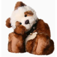 歪头睡觉的小狗