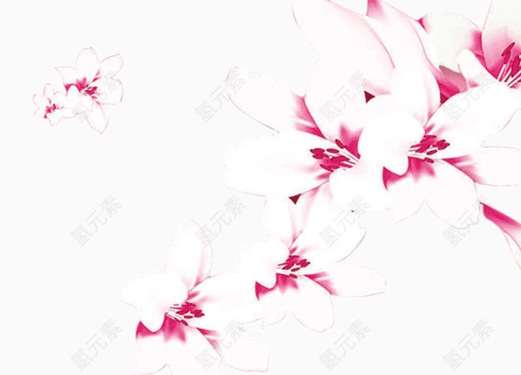 粉红色的梅花