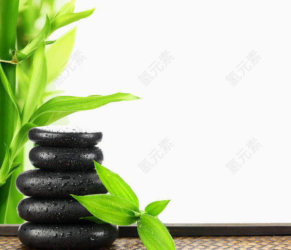 SPA养生绿色海报