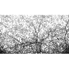 密集裂痕蔓延效果