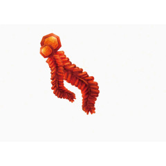 鞭炮矢量新年好