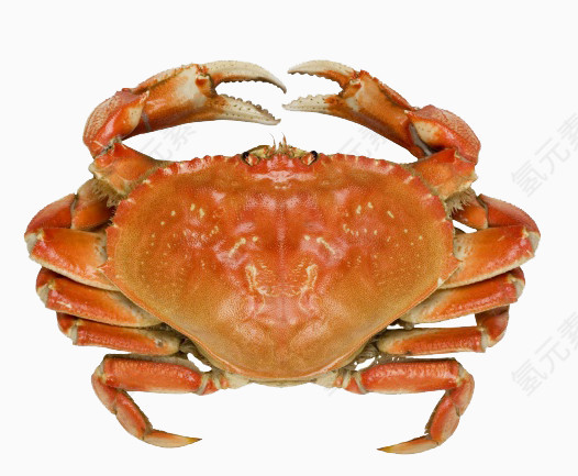 海鲜螃蟹