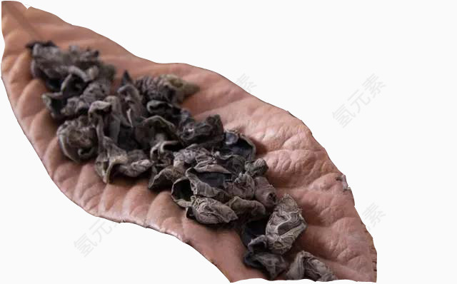 绿色木耳素材图