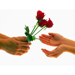 男人送女人玫瑰花