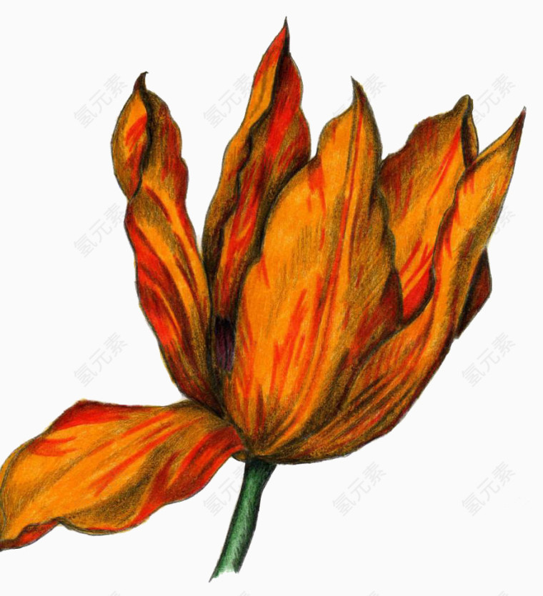 一朵黄花