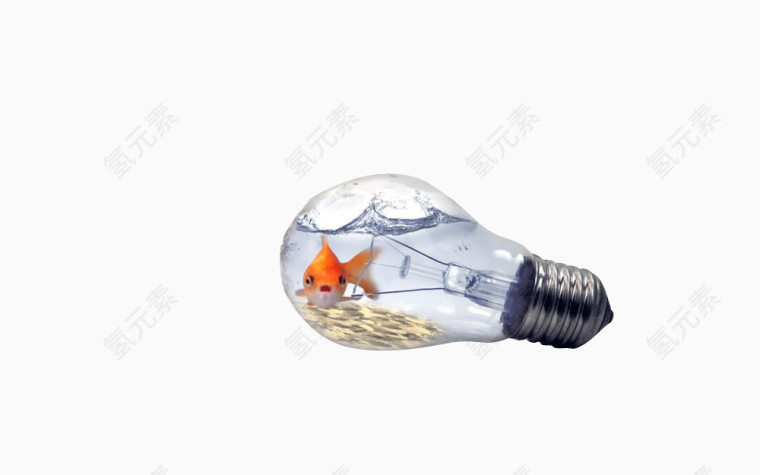 灯泡里的鱼
