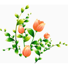 手绘的花朵