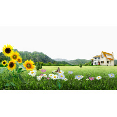 稻田花朵房屋背景素材