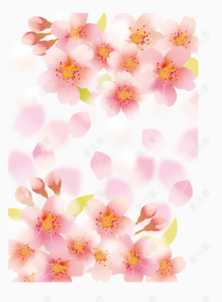 樱花节底纹