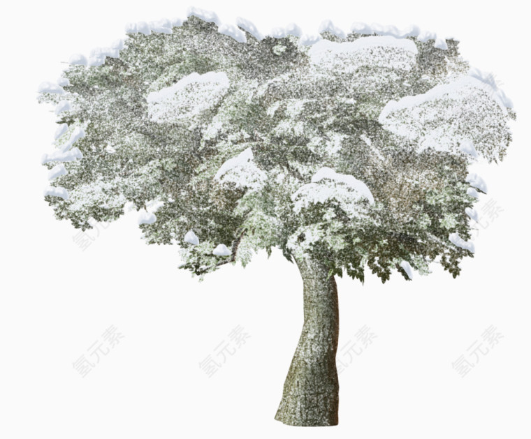白雪大树