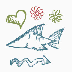 鲨鱼彩色铅笔速写