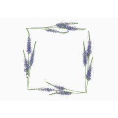 薰衣草边框素材