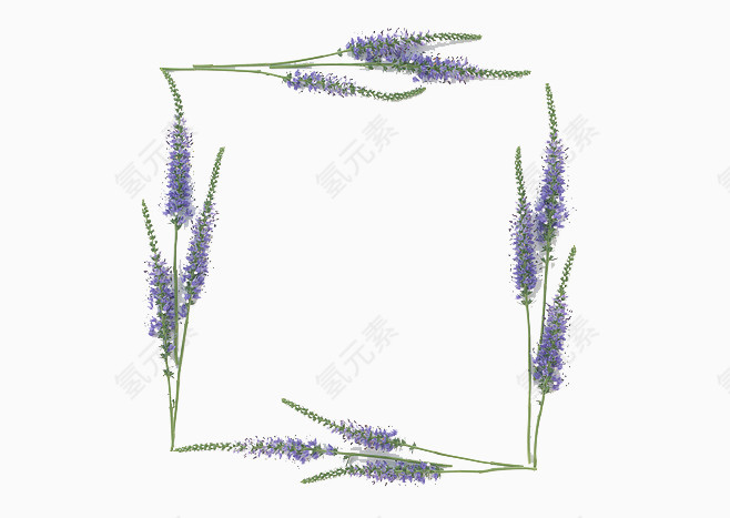 薰衣草边框素材
