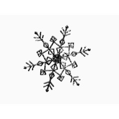 黑雪花png图片