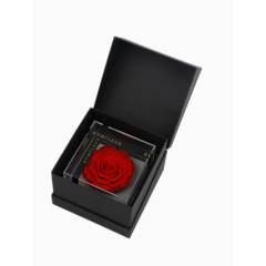 永生花礼盒