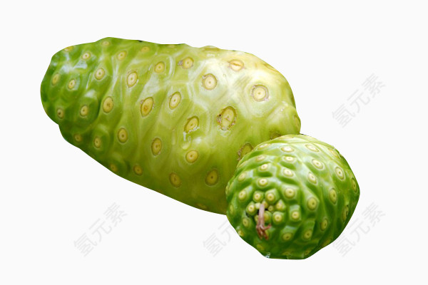 绿色诺丽果