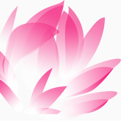 粉色花瓣