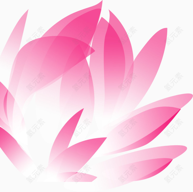 粉色花瓣