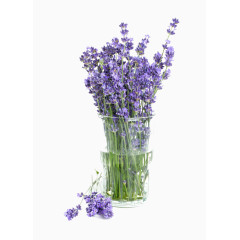 盆栽花束