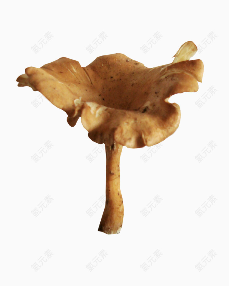 色彩鲜艳的大蘑菇免扣素材