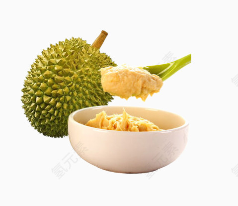金枕头榴莲
