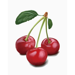 矢量三颗樱桃