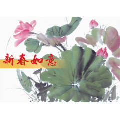 国画荷花