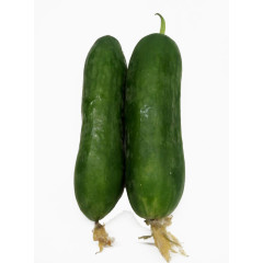 黄瓜蔬菜