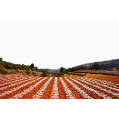 云南东川红土地风景