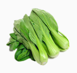 时令白菜