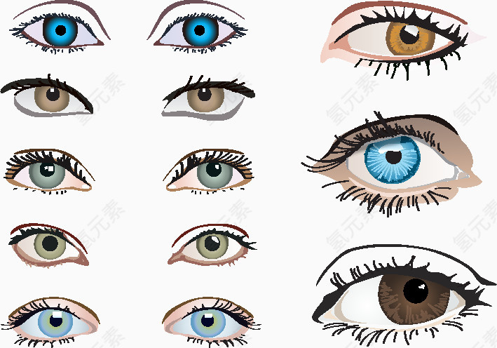 女人的眼睛矢量集合