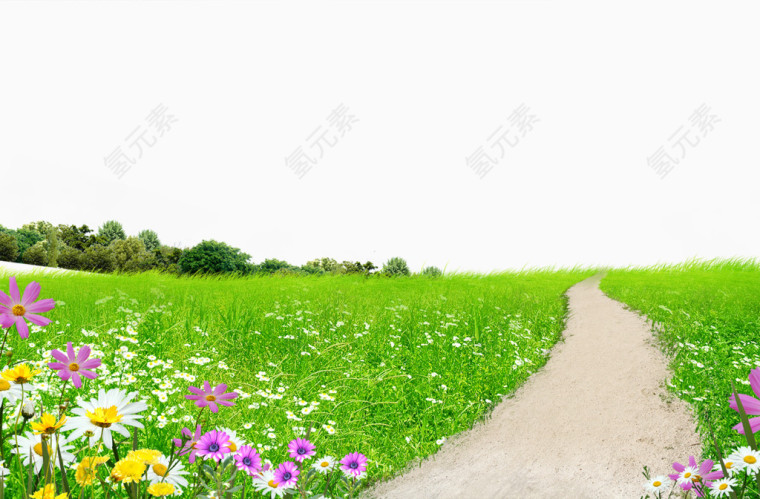 草地小路
