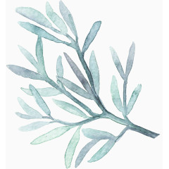 淡青色水彩树枝