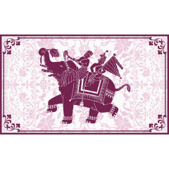 坐在大象上的人