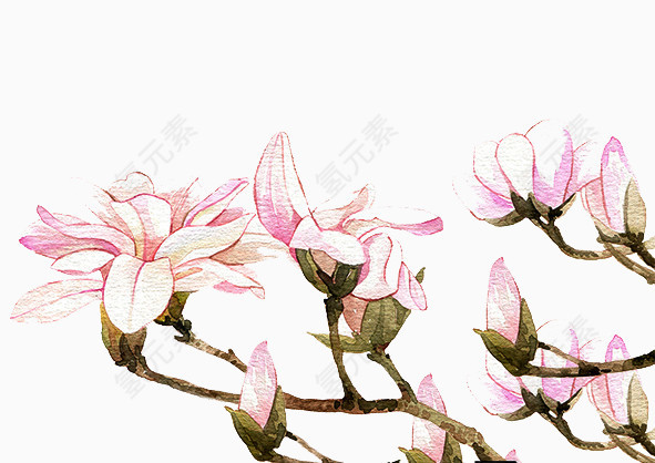 二十四番花信风-立春-三侯望春