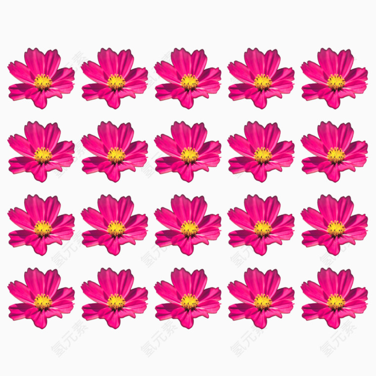 粉色花朵组合背景