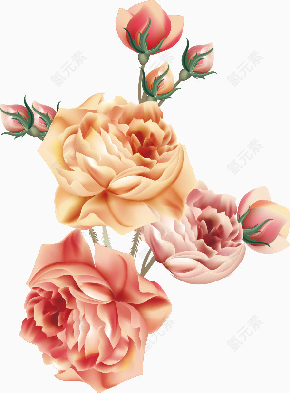 矢量花卉
