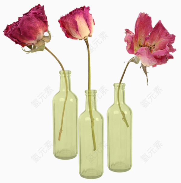 瓶子里的玫瑰花