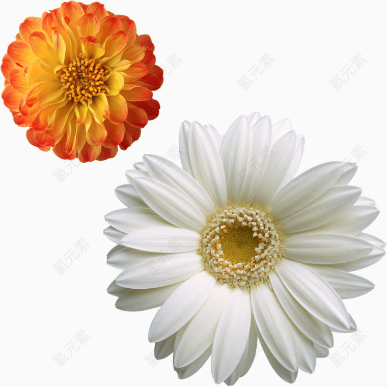 小花