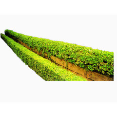 清新绿草园林设计元素