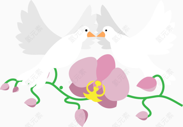 爱情鸟