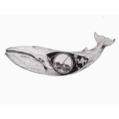 创新素描铅笔画设计平面