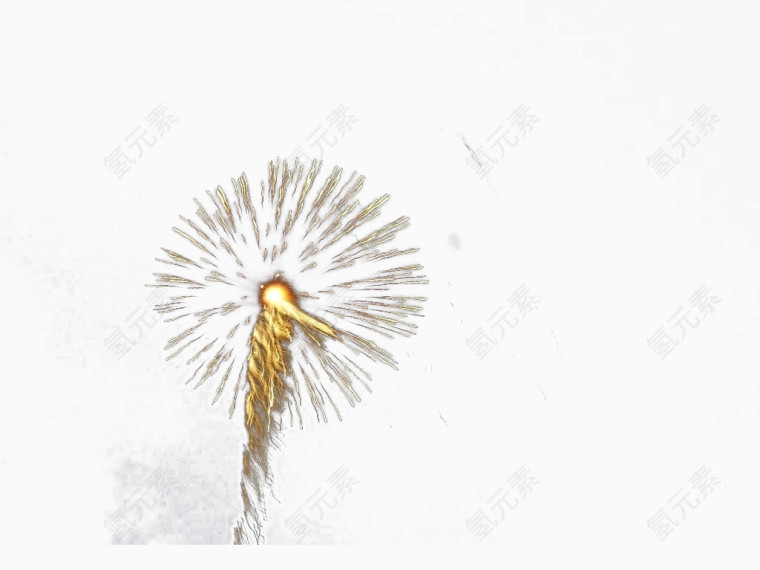 金色礼花绽放