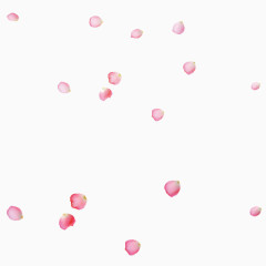 粉色花瓣