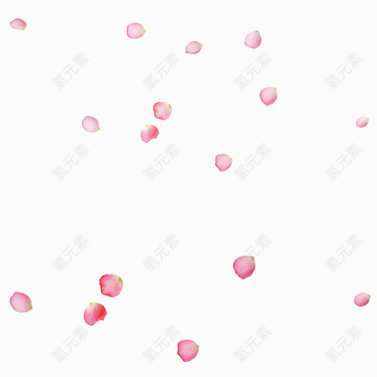 粉色花瓣