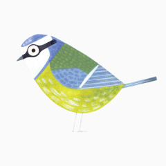 多彩小鸟