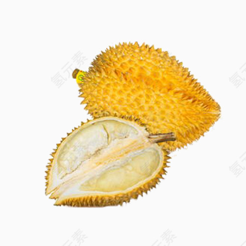 水果之王榴莲