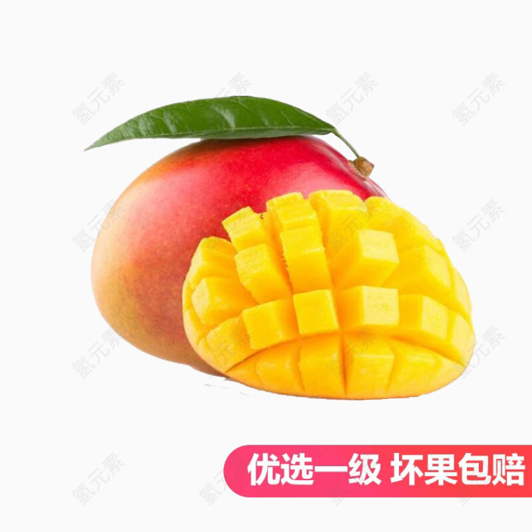 红金龙芒果
