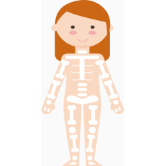女性骨骼示意图