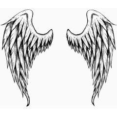 手绘黑白翅膀